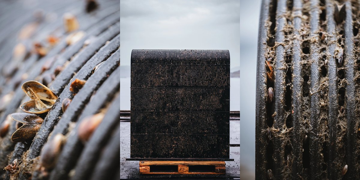 Marine fouling on box coolers